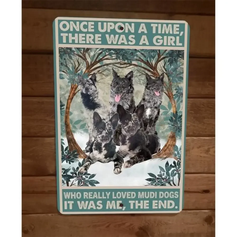 Once Was‎ a Girl That Loved Mudi Dogs 8x12 Metal Wall Sign Animal Poster